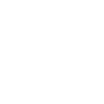 亀甲に十二葉菊