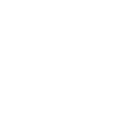 亀甲に竪剣花菱