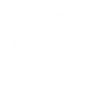 組み合せ角に桔梗