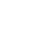 丸に星入り剣桔梗