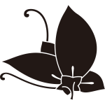 裏桔梗飛び蝶紋